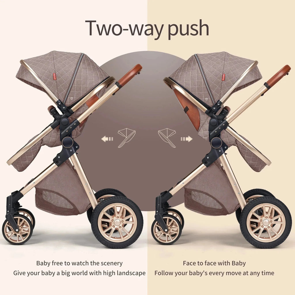 Luxury Pram Vista Stroller with reversible seat