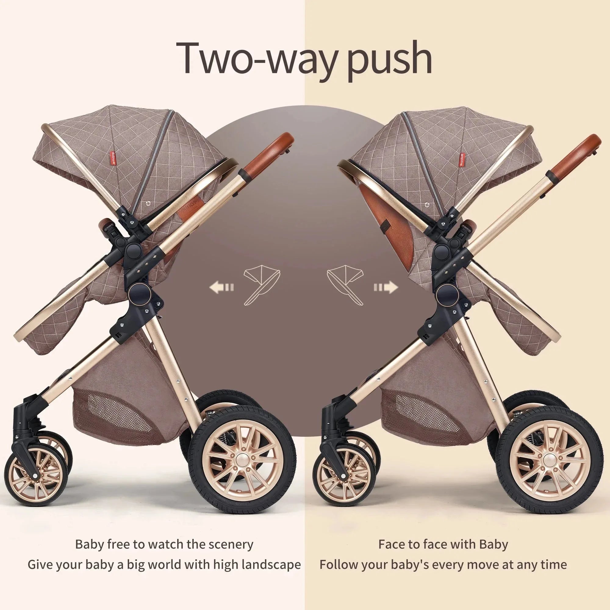 Luxury Pram Vista Stroller with reversible seat