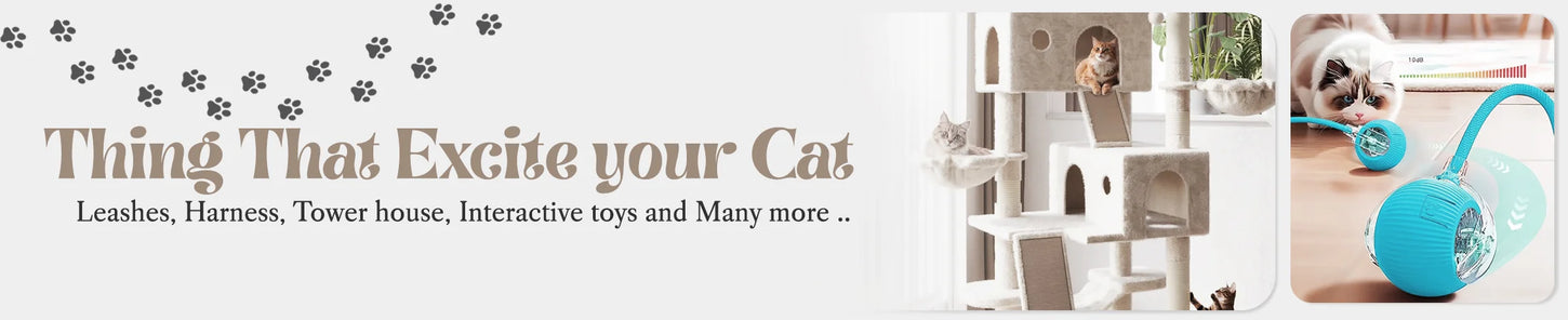 Promotional Banner