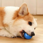 Dog Toy Ball Automatic Moving Bouncing - Image 3