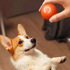 Dog Toy Ball Automatic Moving Bouncing - Image 5