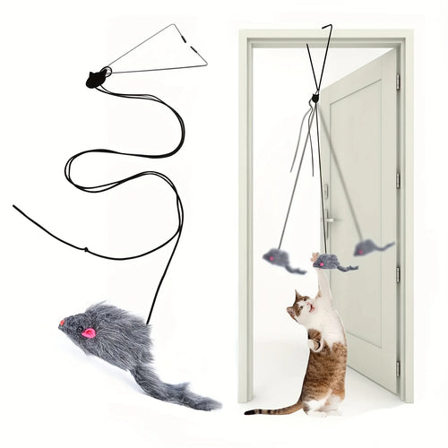 Door Hanging Cat Toy – Durable Plastic