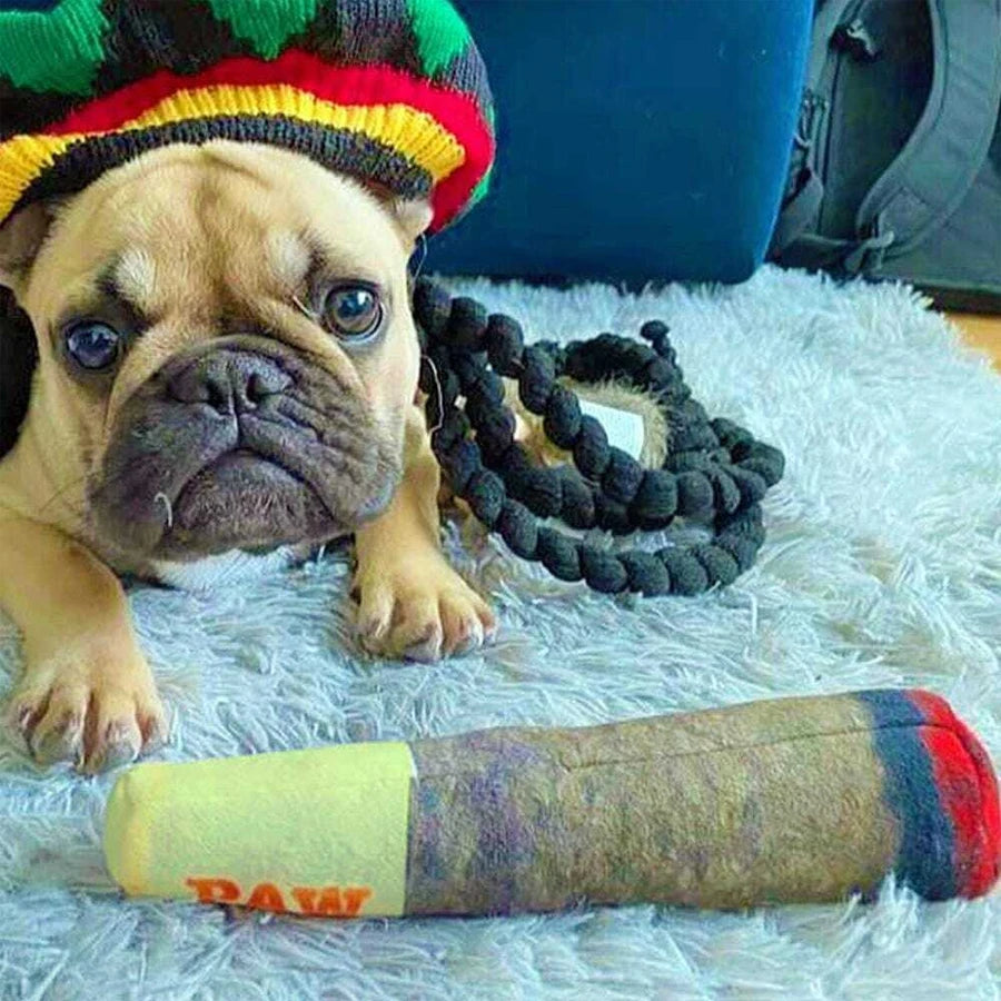 Funny Interactive Dog Toys – Cigar Plush - Image 5
