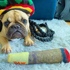 Funny Interactive Dog Toys – Cigar Plush - Image 5