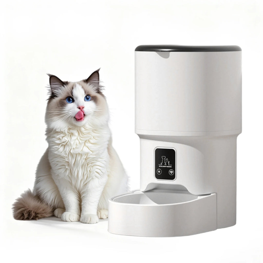Programmable 4L Automatic Pet Feeder for Small Dogs Cats, Up to 6 Meals Daily, Timer/Portion Control, Pet Feeding Food Dispenser - Image 9