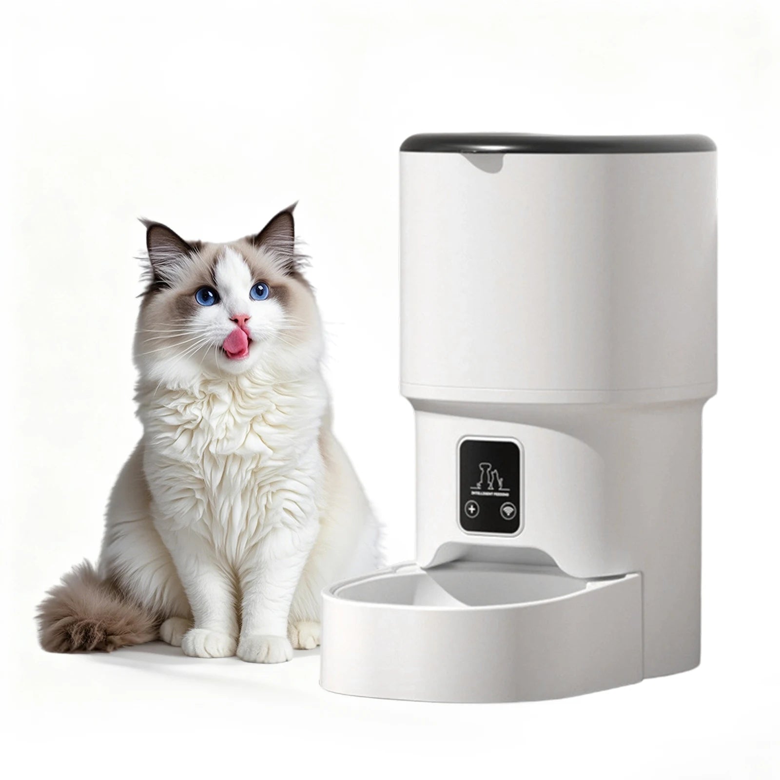 Programmable 4L Automatic Pet Feeder for Small Dogs Cats, Up to 6 Meals Daily, Timer/Portion Control, Pet Feeding Food Dispenser - Image 9