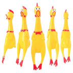 Squeaky Screaming Chicken Pet Toy Funny Molar Chew Rubber Toy Small Large DogPet Squeaker Chew Toys Funny Chicken Puppy1pcs - Image 4