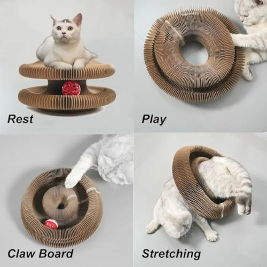 Magic Organ Cat Toy – Foldable Scratcher - Image 6