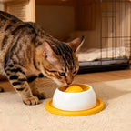 Lick Toys Dogs Interactive - Image 11