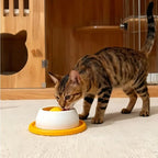 Lick Toys Dogs Interactive - Image 12