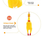 Squeaky Screaming Chicken Pet Toy Funny Molar Chew Rubber Toy Small Large DogPet Squeaker Chew Toys Funny Chicken Puppy1pcs - Image 11