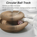 Magic Organ Cat Toy – Foldable Scratcher - Image 5