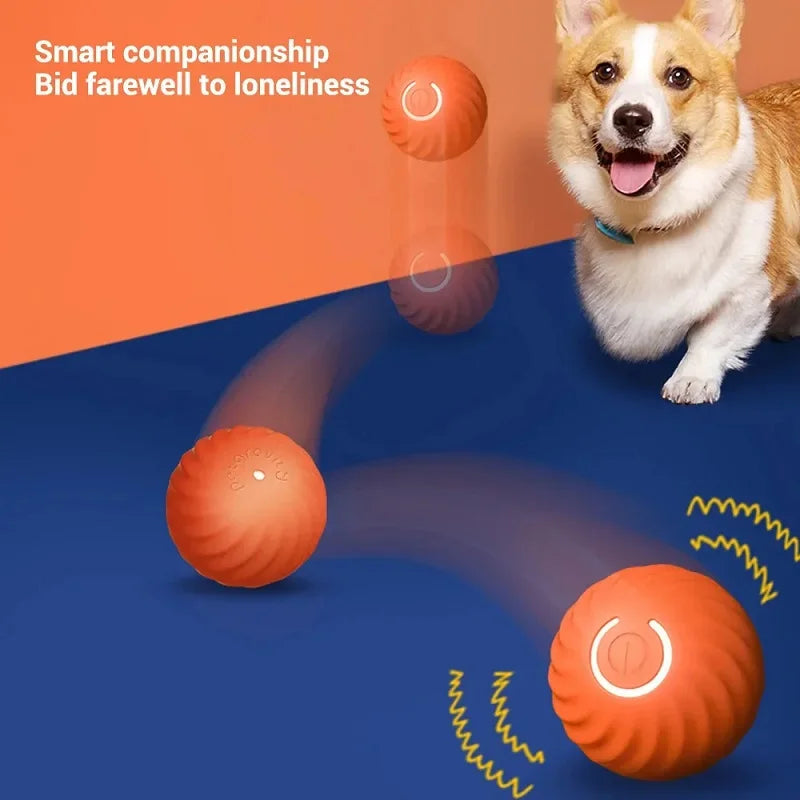 Dog Toy Ball Automatic Moving Bouncing - Image 6