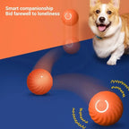 Dog Toy Ball Automatic Moving Bouncing - Image 6