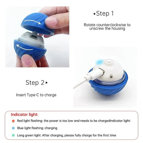 Dog Toy Ball – Automatic