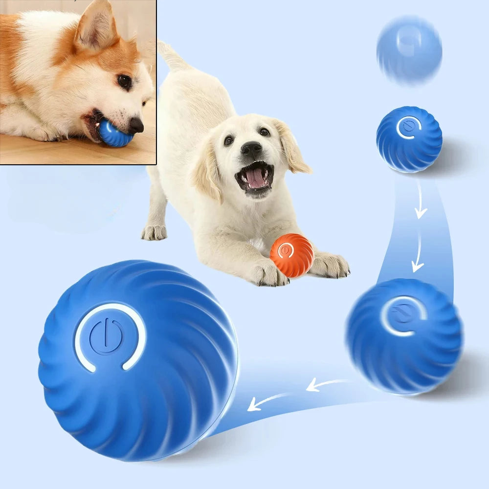 Dog Toy Ball Automatic Moving Bouncing - Image 1