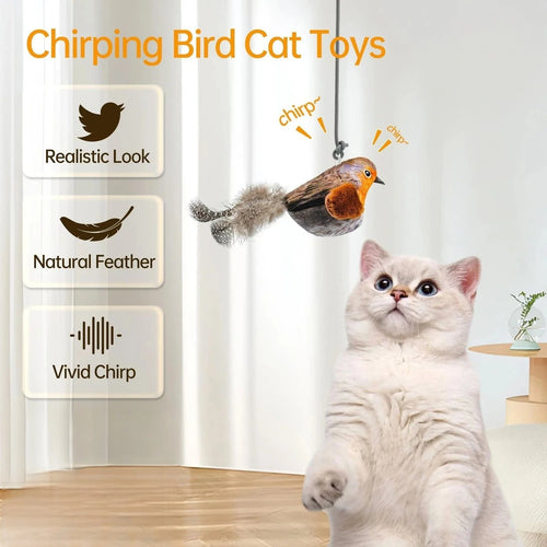 Interactive Chirping Bird Cat Toy – Feather