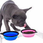 Folding Portable Silicone Dog Feeder – Travel - Image 3