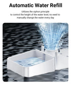 ROJECO 2In1 Automatic Pet Feeder Gravity Water Fountain 8.5L Button Version Auto Cat Kibble Dispenser with Water Refill Drinker - Image 12