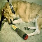 Funny Interactive Dog Toys – Cigar Plush - Image 6