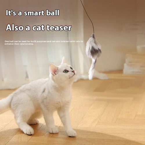Automatic Pet Rolling Ball - Stress Relief Toy for Cats & Dogs