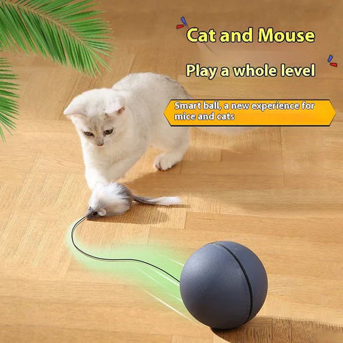 Automatic Pet Rolling Ball - Stress Relief Toy for Cats & Dogs