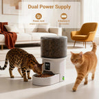 Programmable 4L Automatic Pet Feeder for Small Dogs Cats, Up to 6 Meals Daily, Timer/Portion Control, Pet Feeding Food Dispenser - Image 1