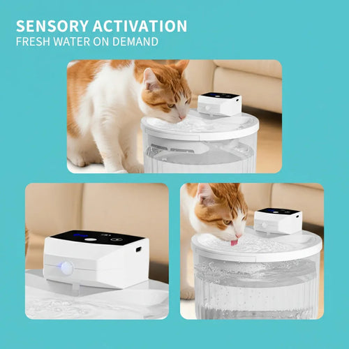 Wireless Pet Drinking Fountain – Wireless Cordless